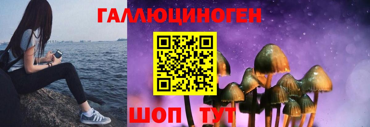 Нефтеюганск  Галлюциногенные грибы Psilocybine cubensis  Вход с VPN 